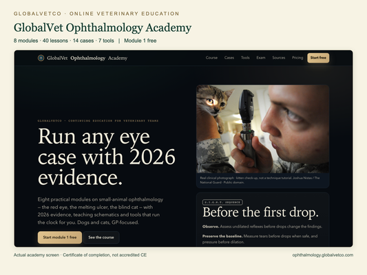 GlobalVet Ophthalmology Academy: 8 modules, 40 lessons, 14 cases and 7 tools. Actual academy interface.