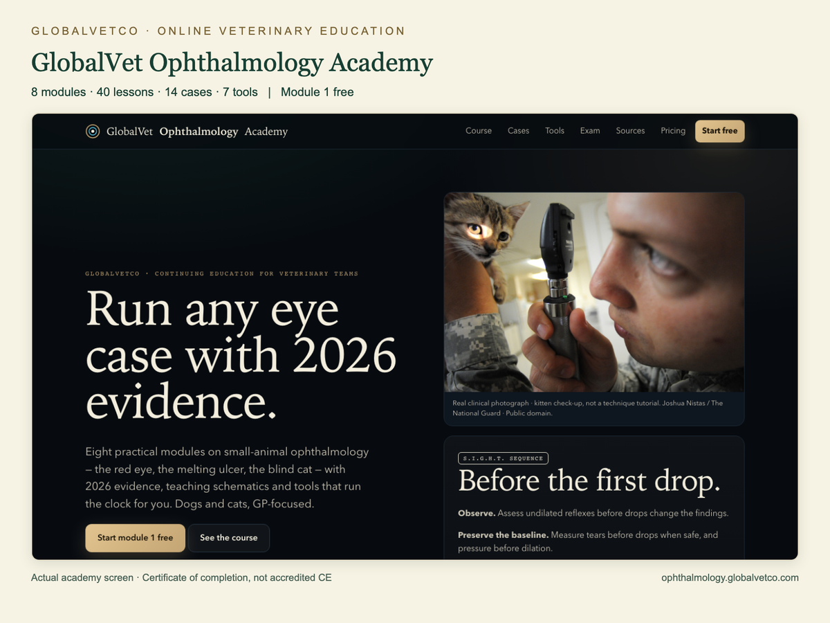 GlobalVet Ophthalmology Academy: 8 modules, 40 lessons, 14 cases and 7 tools. Actual academy interface.