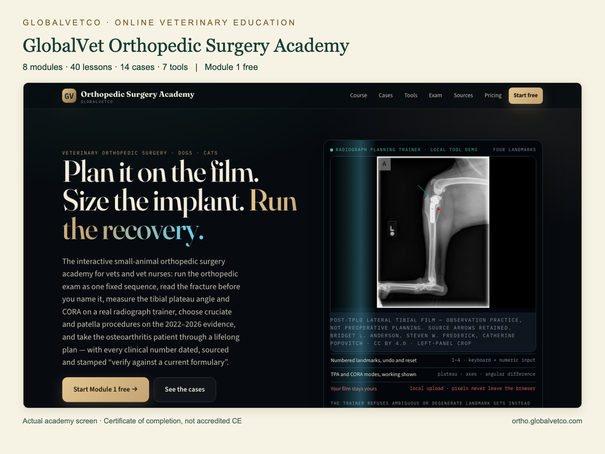 GlobalVet Orthopedic Surgery Academy: 8 modules, 40 lessons, 14 cases and 7 tools. Actual academy interface.