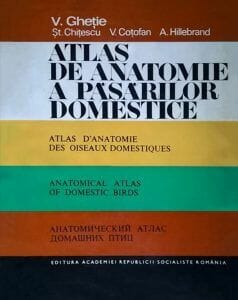 Ghetie’s Anatomical Atlas Of Domestic Birds