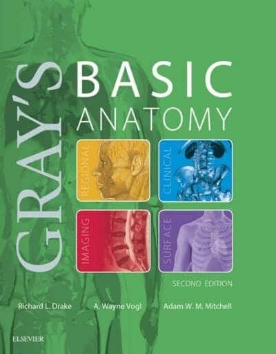 Grays Basic Anatomy Ebook