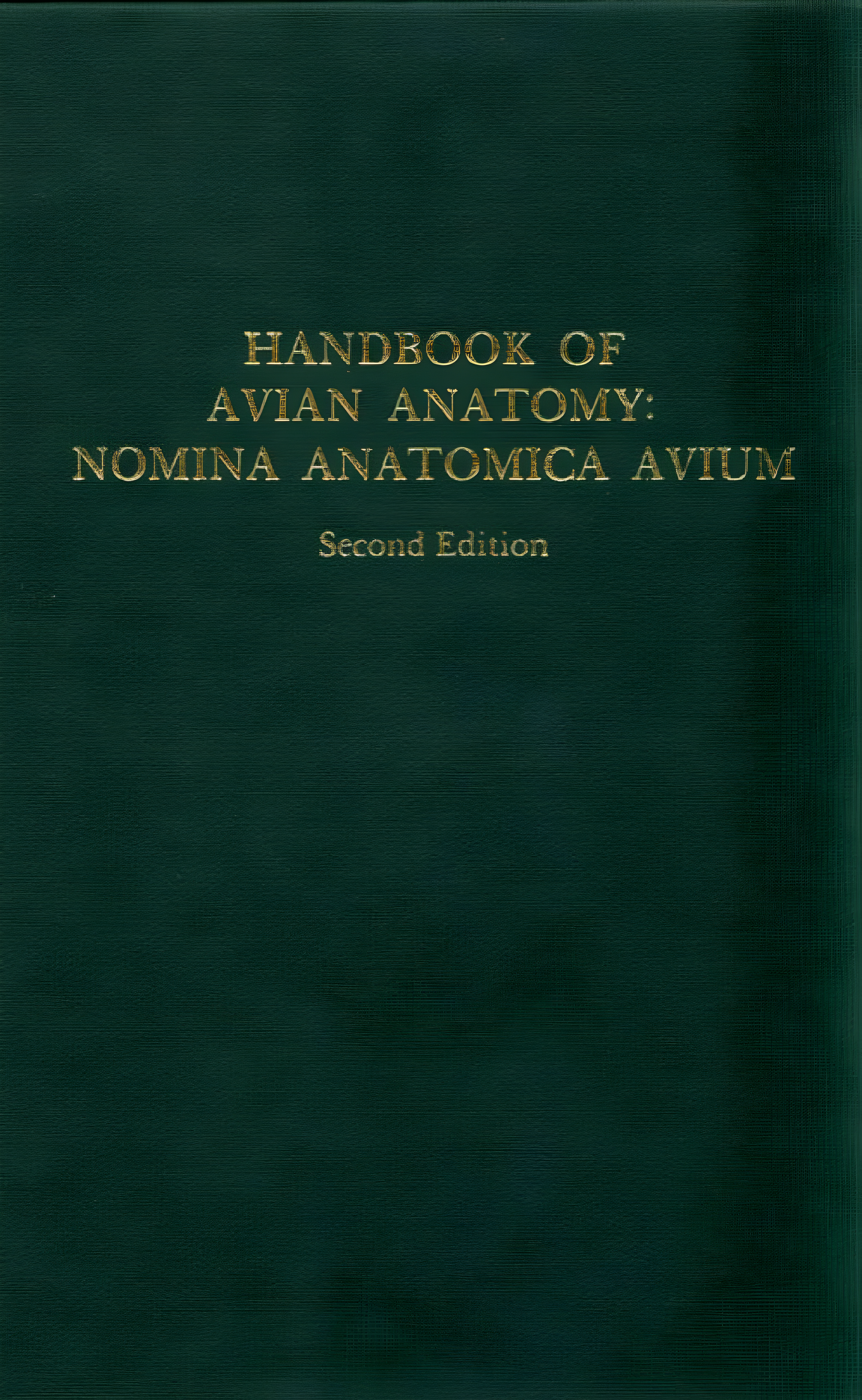 Handbook of Avian Medicine, 2nd Edition - Original Cover