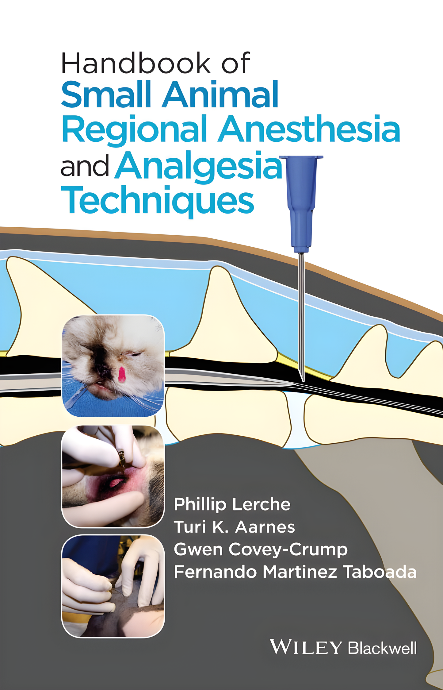 Small Animal Anesthesia Techniques - Original Cover