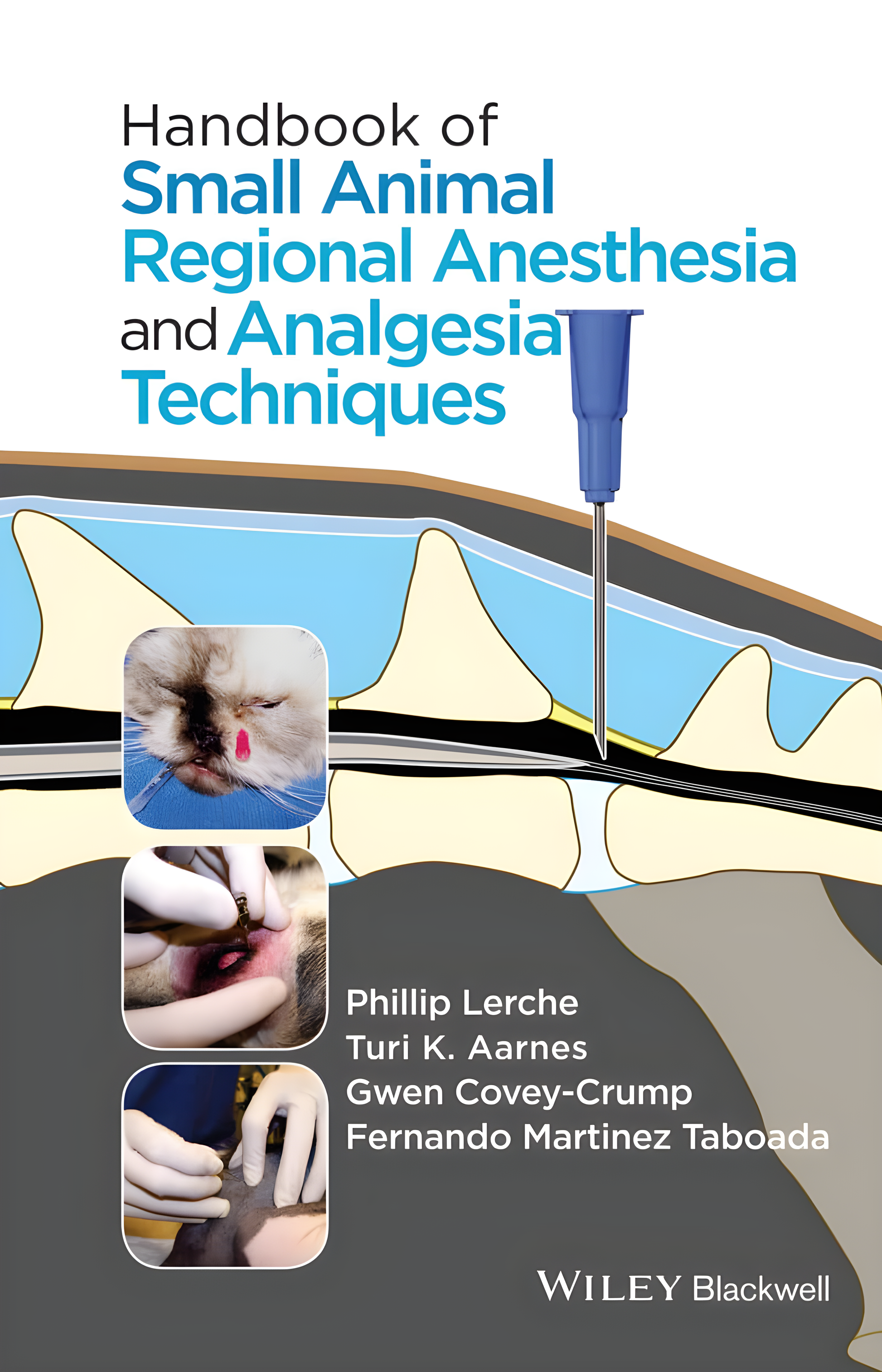 Small Animal Anesthesia Techniques - Original Cover