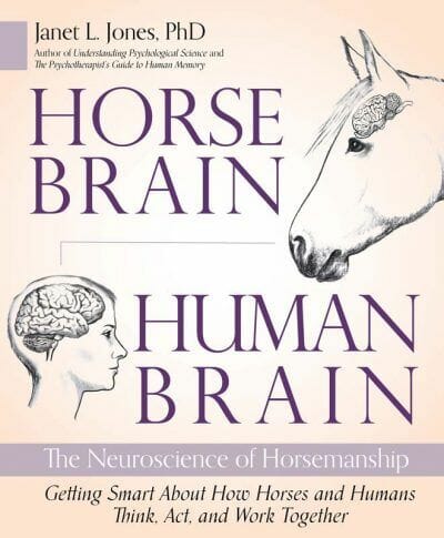 Horses Brain Human Brain