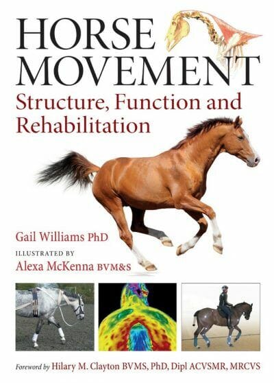 Horse Movement Structure Function And Rehabilitation