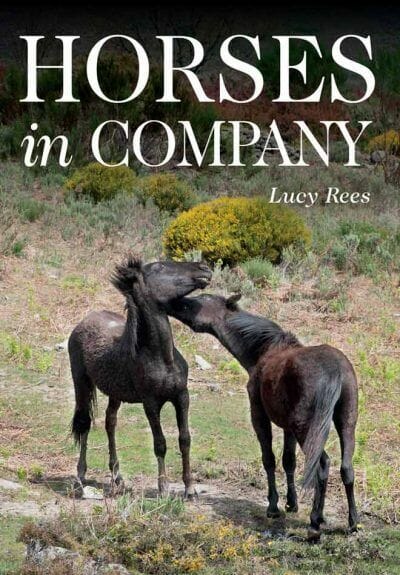 Horses In Company