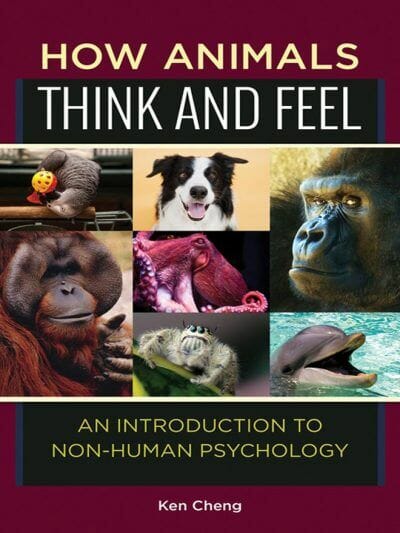 How Animals Think And Feel An Introduction To Non Human Psychology