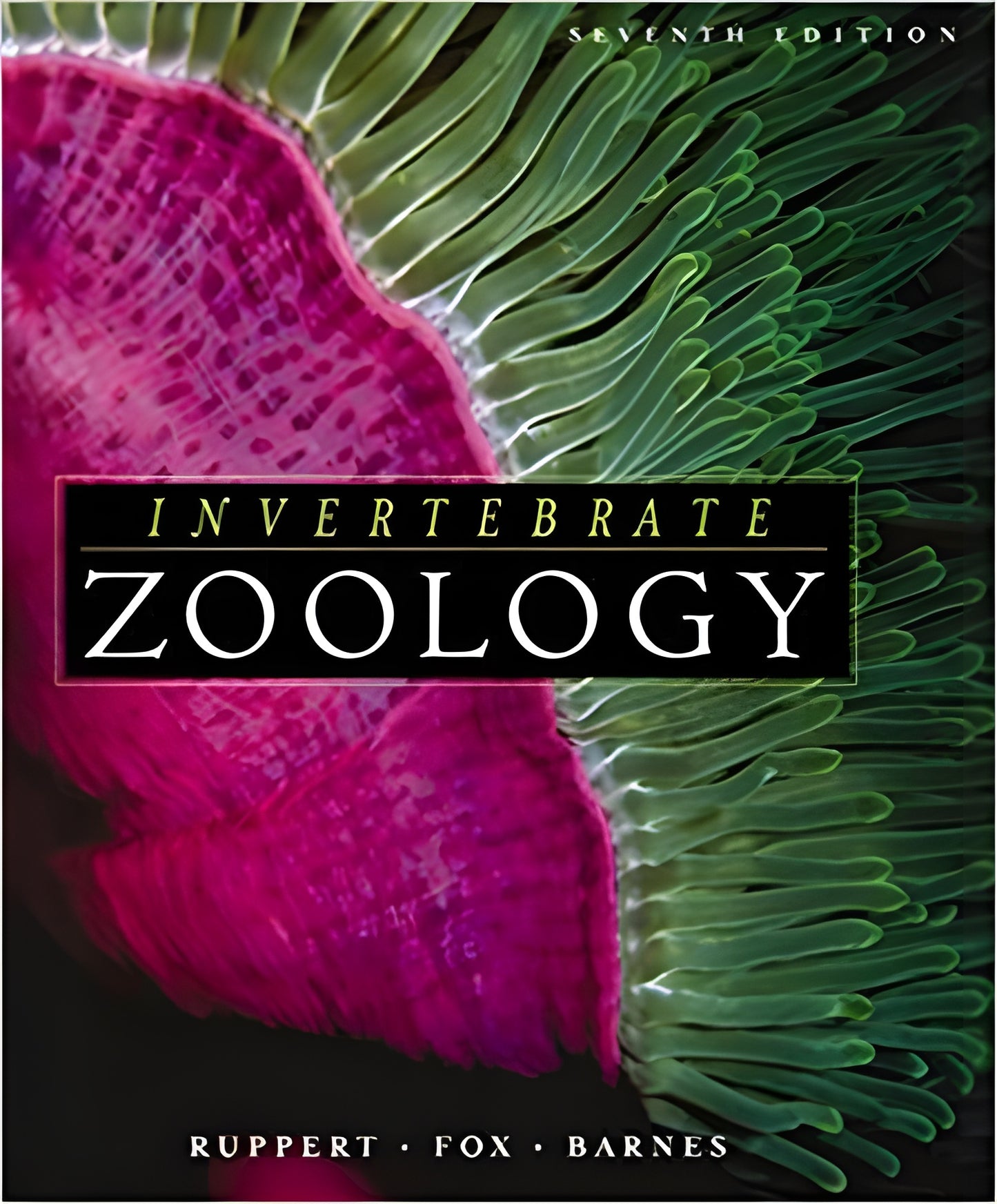 Invertebrate Zoology A Functional Evolutionary Approach 7Th Edition