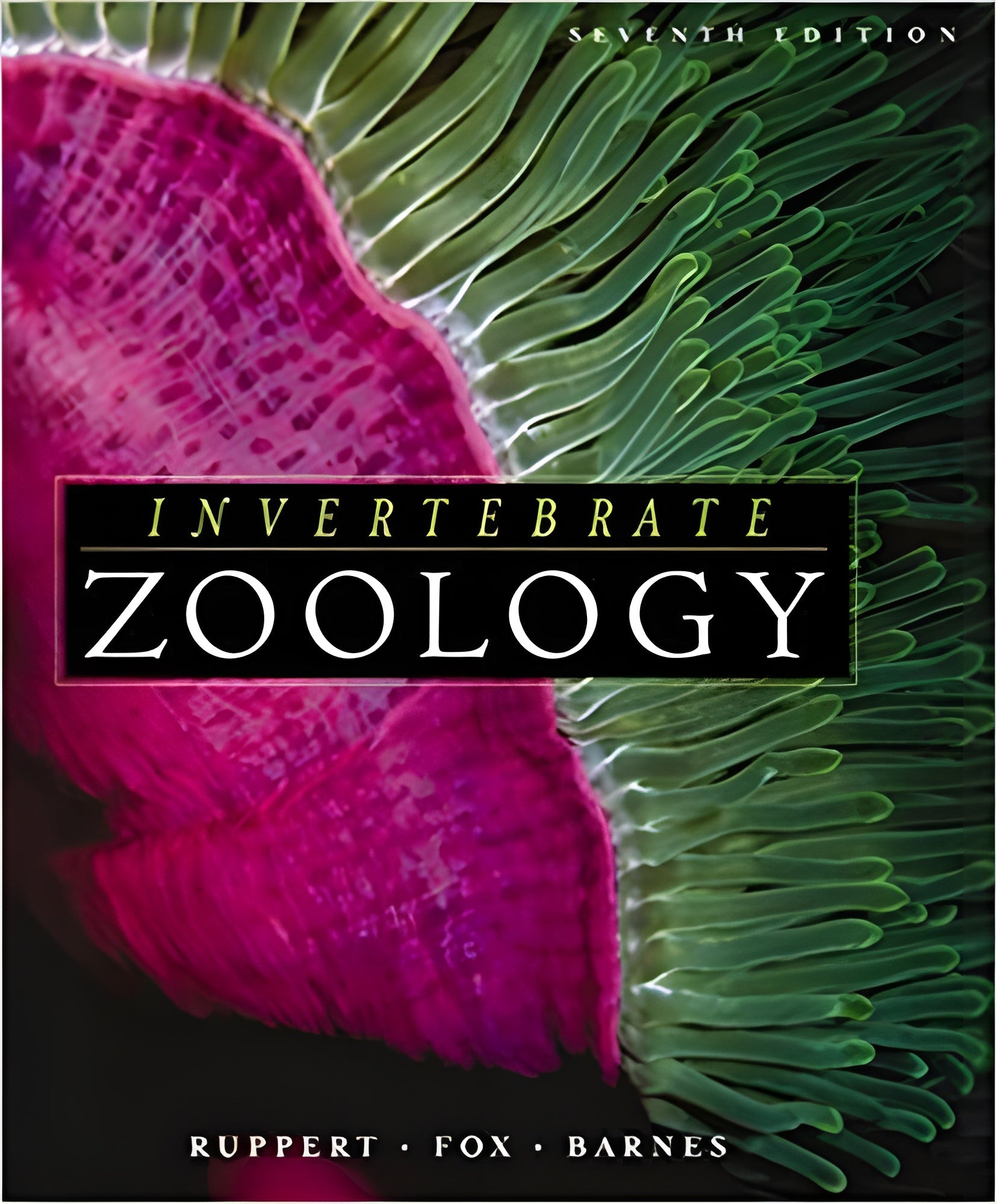Invertebrate Zoology A Functional Evolutionary Approach 7Th Edition