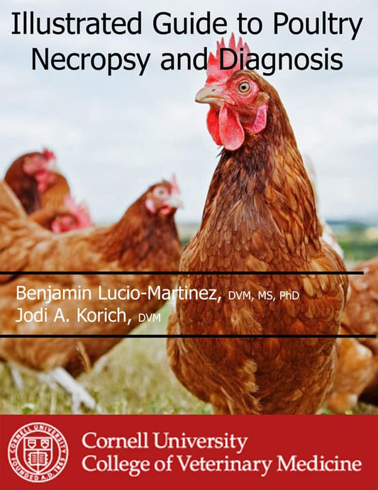Illustrated Guide to Poultry Necropsy and Diagnosis — front cover