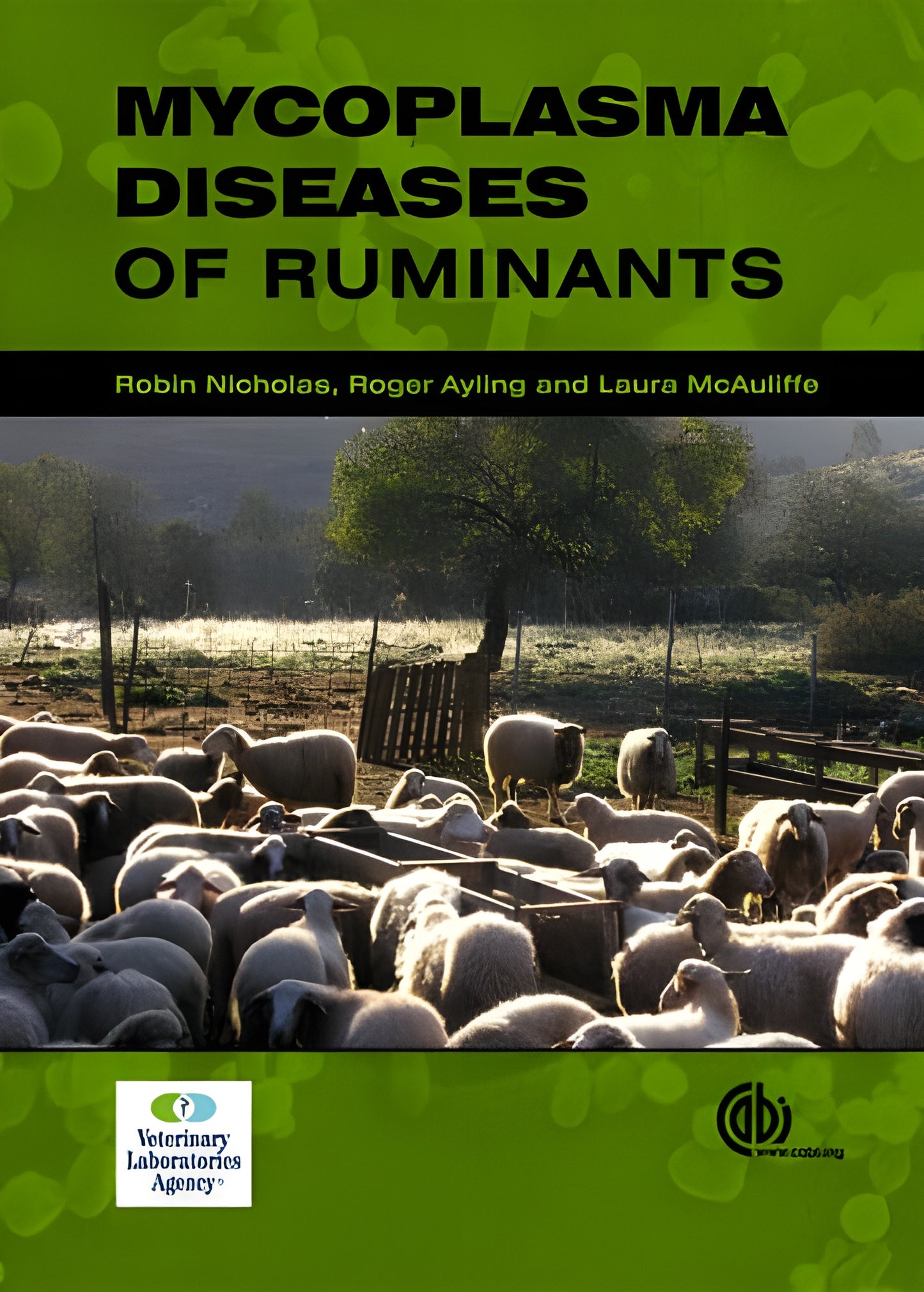 Mycoplasma Diseases Of Ruminants