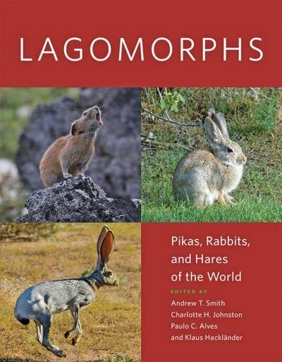Lagomorphs Pikas Rabbits And Hares Of The Worlds