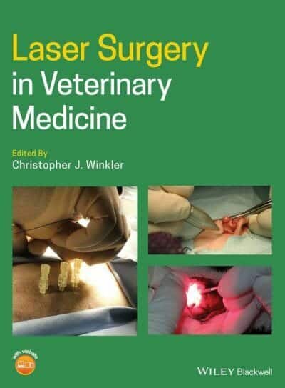 Laser Surgery In Veterinary Medicine