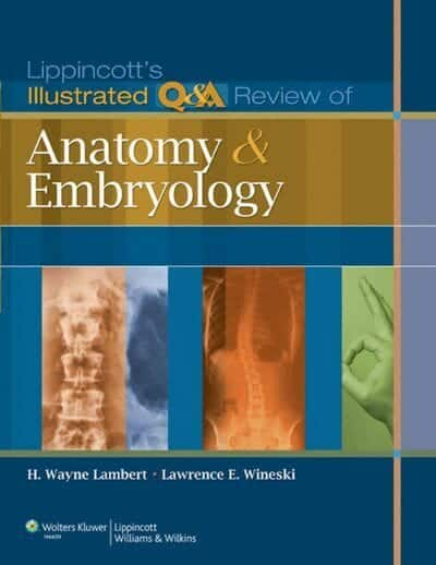 Lippincotts Illustrated Qa Review Of Anatomy And Embryology