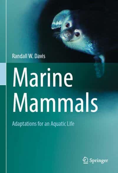 Marine Mammals Adaptations For An Aquatic Life