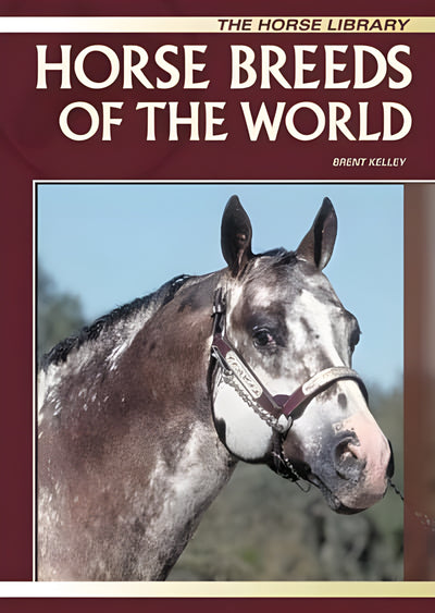 Horse Breeds Of The World