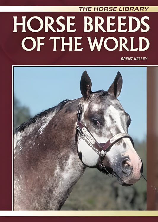 Horse Breeds Of The World