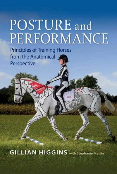 Posture And Performance Principles Of Training Horses From The Anatomical Perspective
