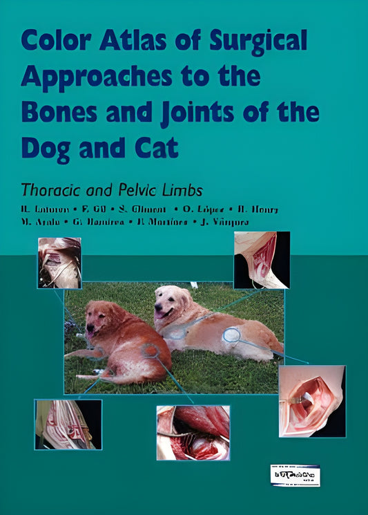 Color Atlas Of Surgical Approach To The Bones And Joints Of The Dog And Cat