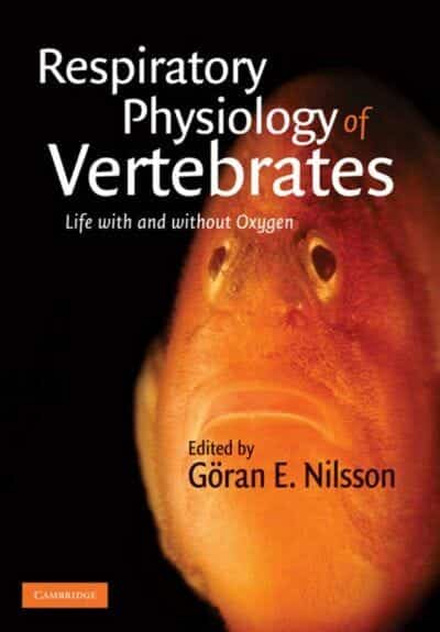 Respiratory Physiology Of Vertebrates Life With And Without Oxygen