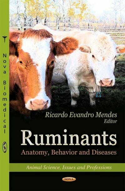 Ruminants Anatomy Behavior And Diseases