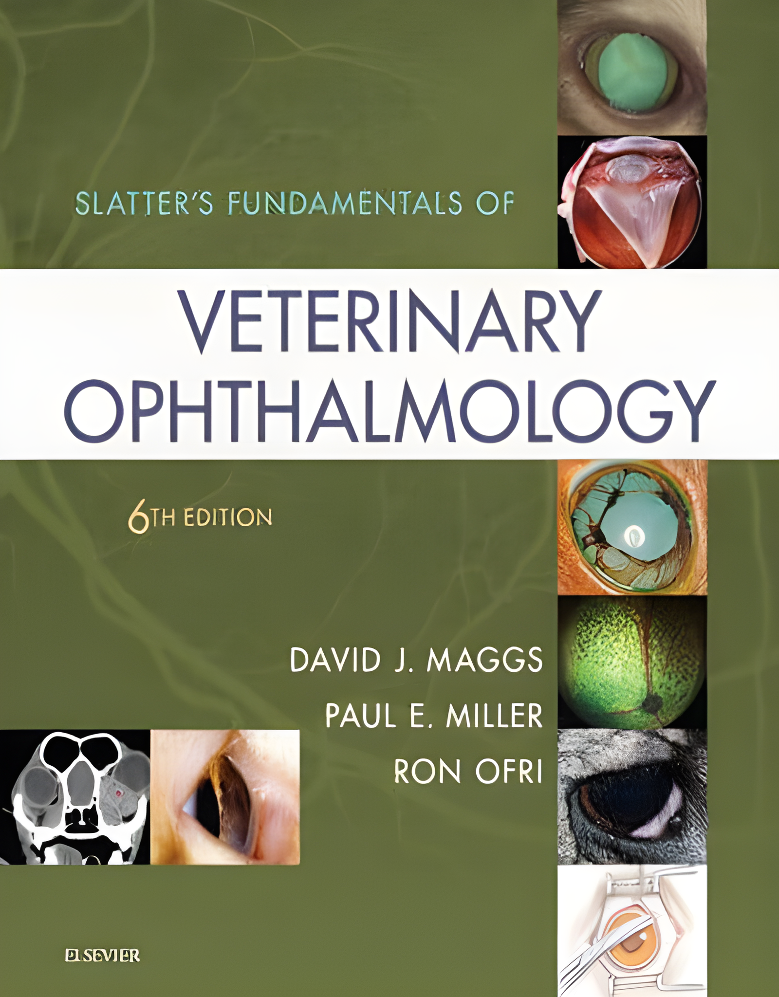 Slatter's Fundamentals of Veterinary Ophthalmology, 6th Edition - Original Cover