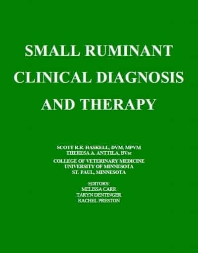 Small Ruminant Clinical Diagnosis And Therapy