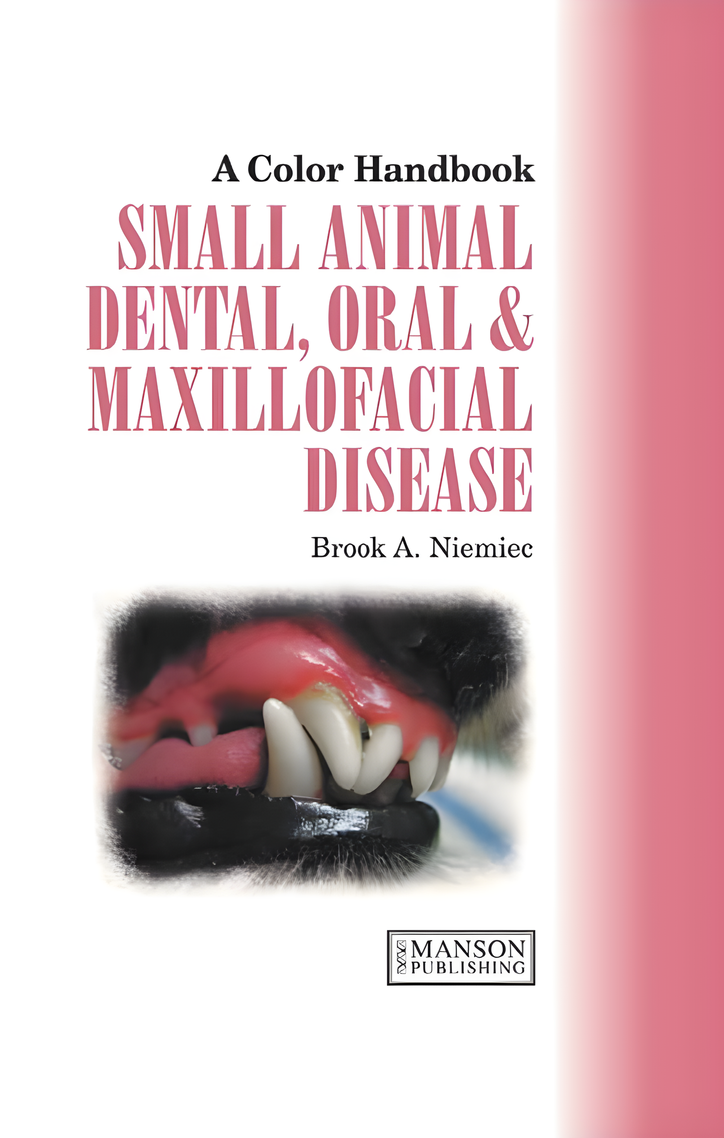 Small Animal Dental, Oral and Maxillofacial Disease A Colour Handbook - Original Cover