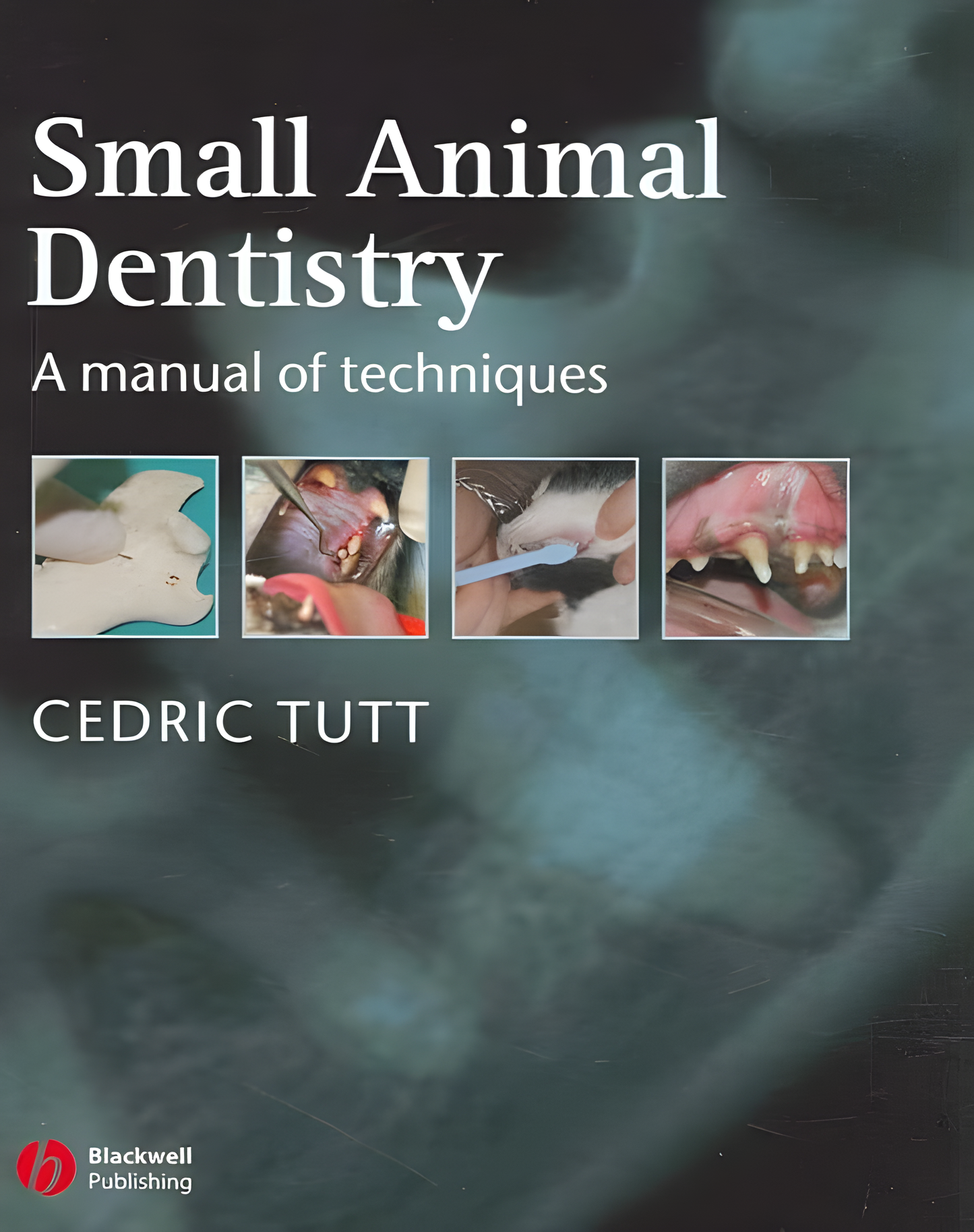 Small Animal Dentistry, A Manual of Techniques - Original Cover