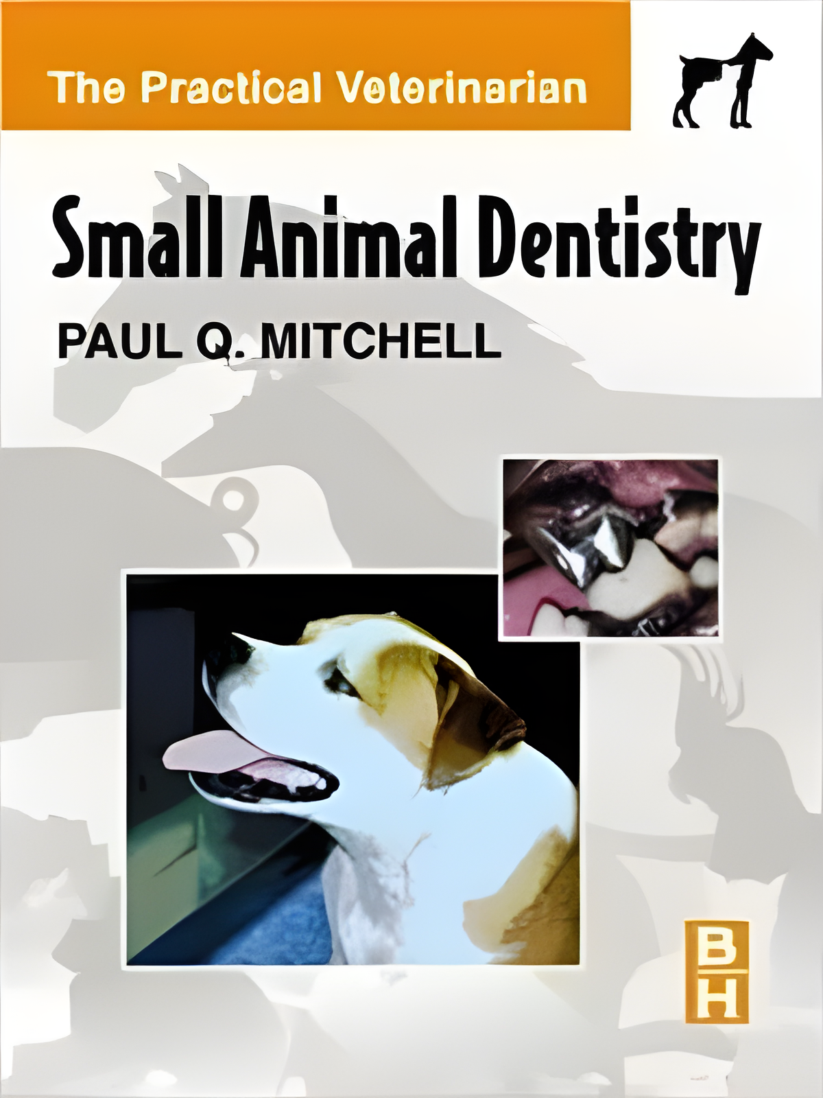 Small Animal Dentistry The Practical Veterinarian - Original Cover