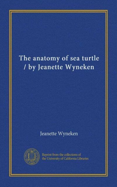 The Anatomy Of Sea Turtles