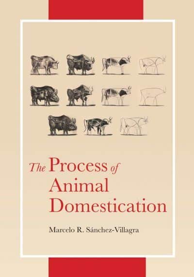 The Process Of Animals Domestication