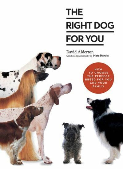 The Complete Dog Breed Book Choose The Perfect Dog For You New Edition