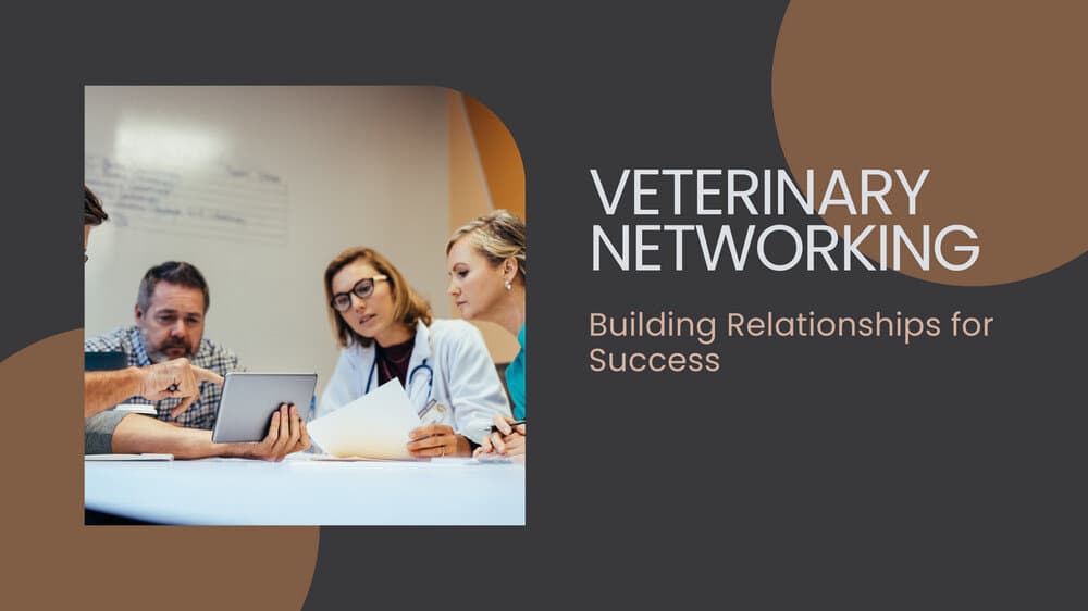 Veterinary Networking Building Relationships For Success