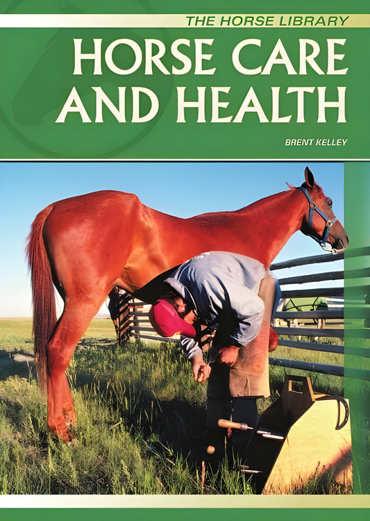 Horse Health And Care