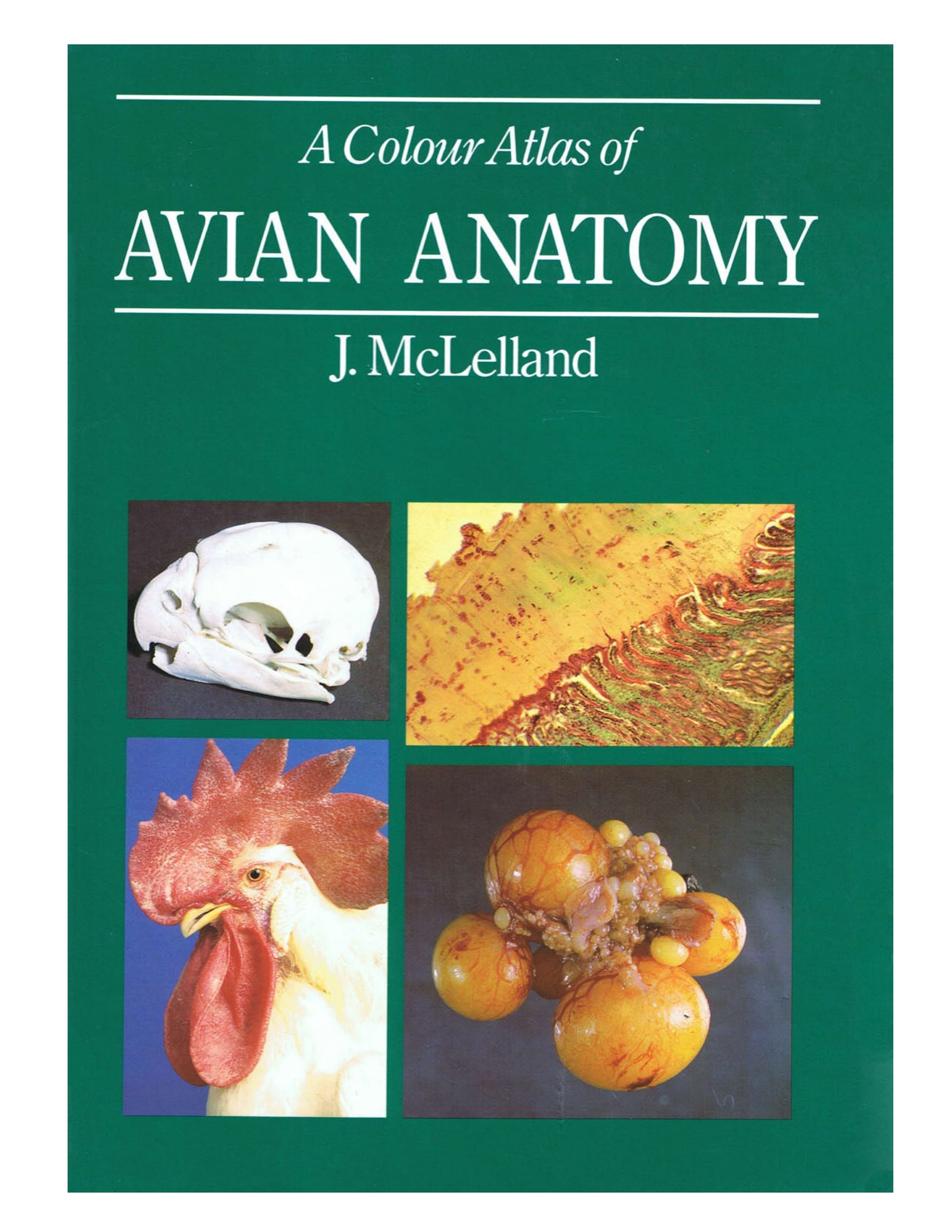 A Colour Atlas Of Avian Anatomy