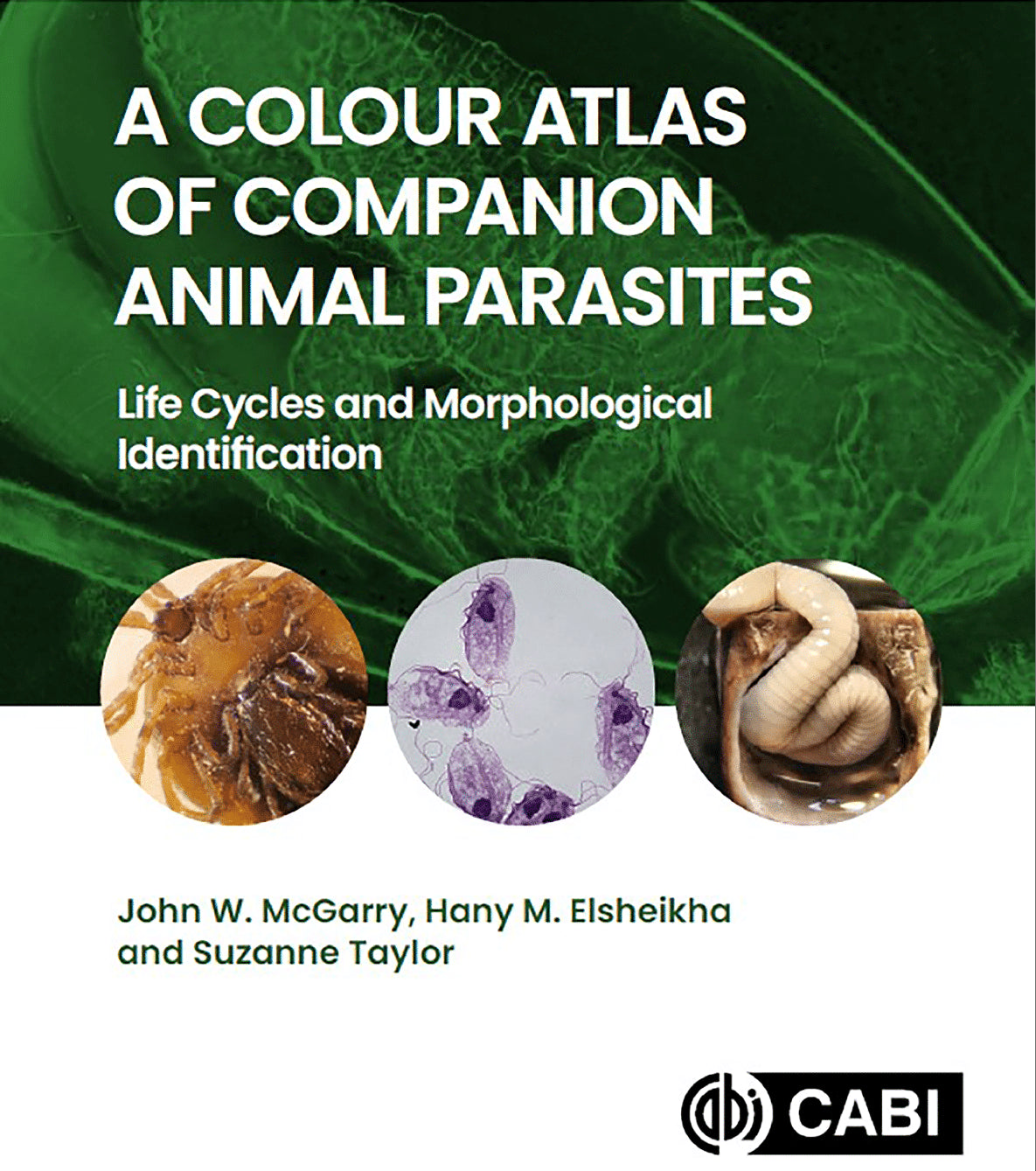 A Colour Atlas Of Companion Animal Parasites Life Cycles And Morphological Identification