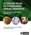 A Colour Atlas Of Companion Animal Parasites Life Cycles And Morphological Identification