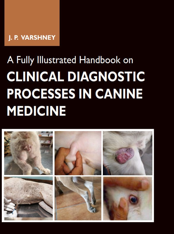 A Fully Illustrated Handbook On Clinical Diagnostic Processes In Canine Medicine