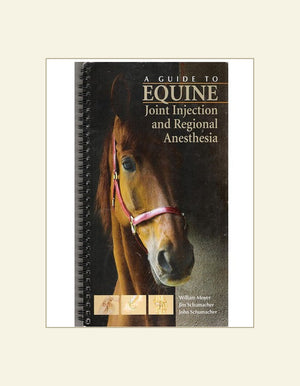 A Guide To Equine Joint Injection And Regional Anesthesia