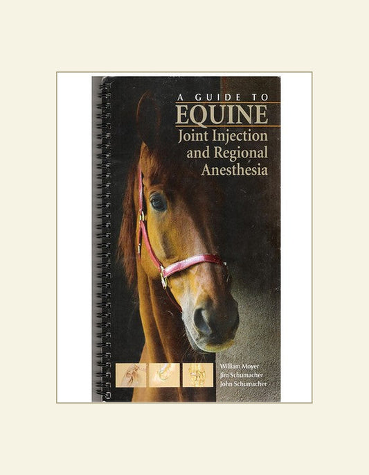 A Guide To Equine Joint Injection And Regional Anesthesia — front cover (HD)