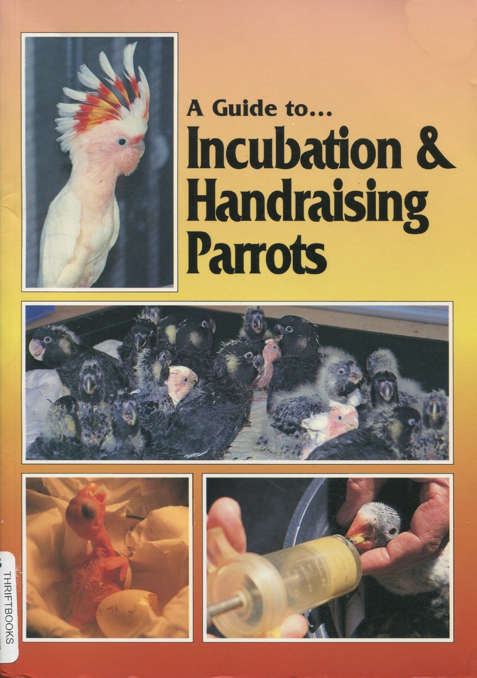 A Guide To Incubation And Handraising Parrots