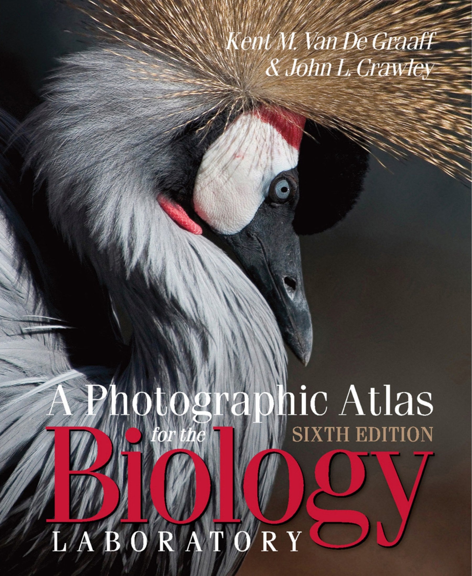 A Photographic Atlas For The Biology Laboratory 6Th Edition