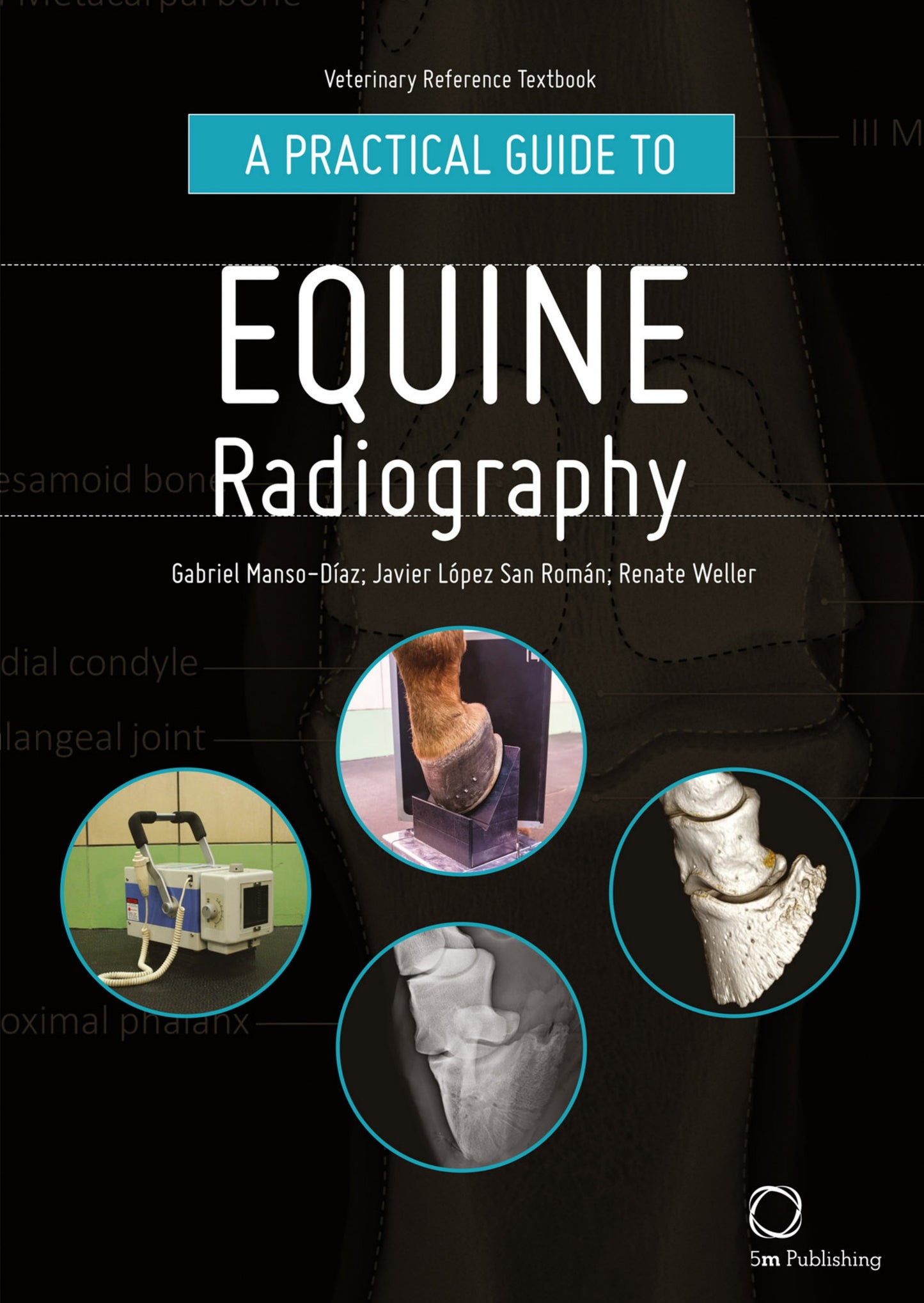 A Practical Guide To Equine Radiography