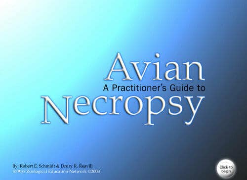 A Practitioners Guide to Avian Necropsy