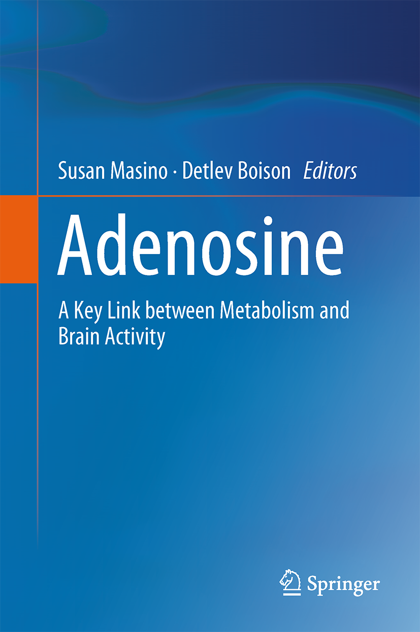 Adenosine: A Key Link between Metabolism and Brain Activity — Masino & Boison (Springer) — front cover