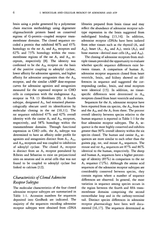 Adenosine and Adenine Nucleotides From Molecular Biology To Integrative Physiology