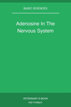 Adenosine In The Nervous System