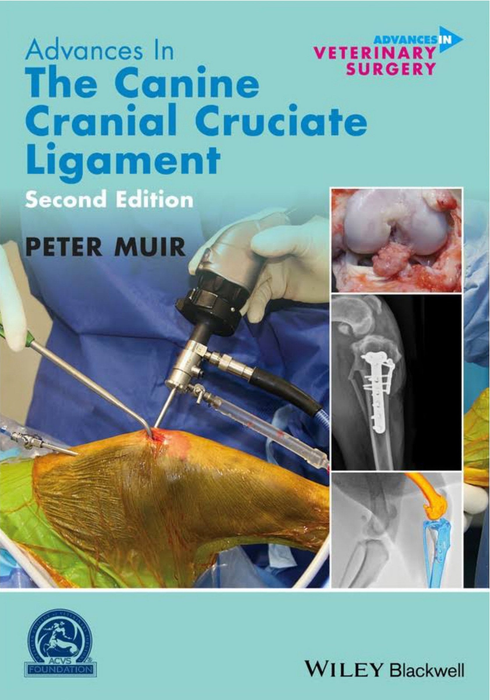 Advances In The Canine Cranial Cruciate Ligament